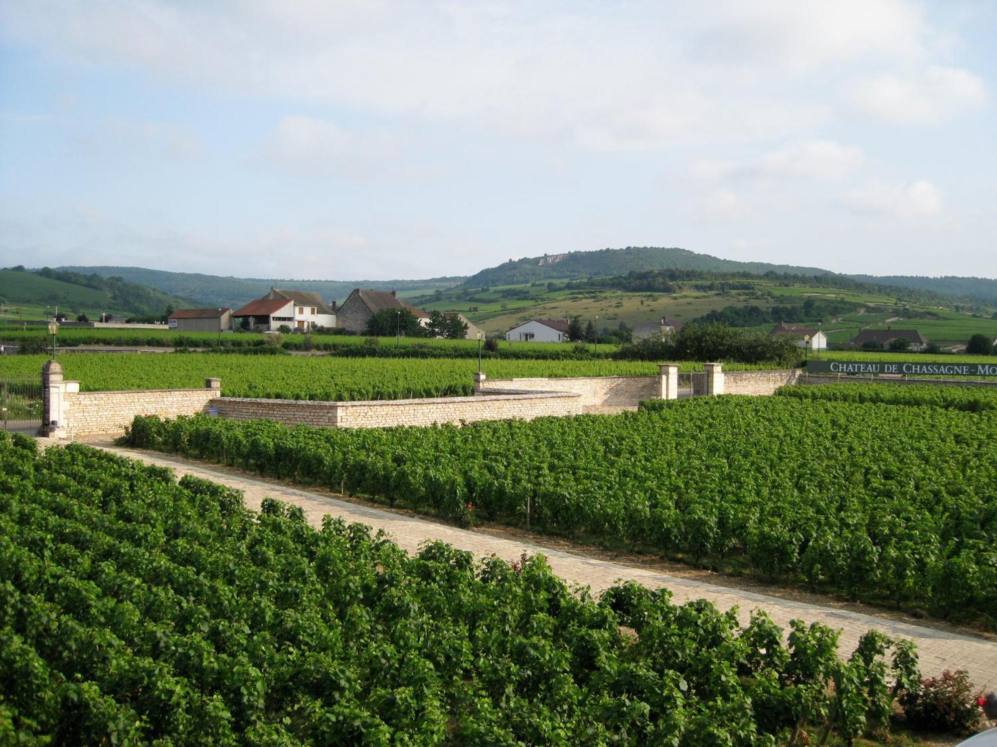 Chateau De Chassagne-Montrachet Panzió Kültér fotó